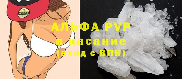 сатива Балахна