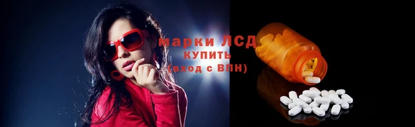 сатива Балахна