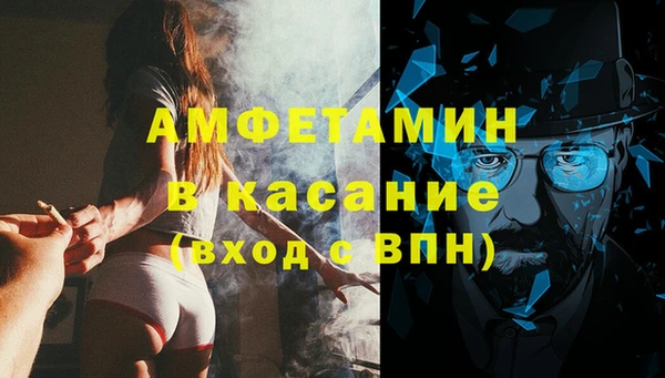 сатива Балахна