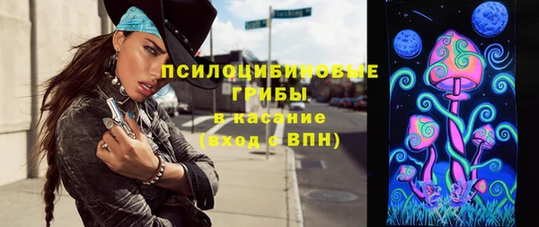 сатива Балахна