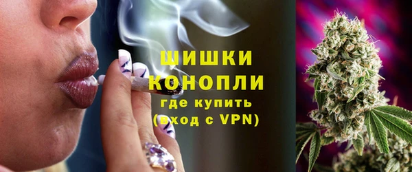 сатива Балахна
