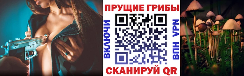 Галлюциногенные грибы Psilocybine cubensis  Новохопёрск 