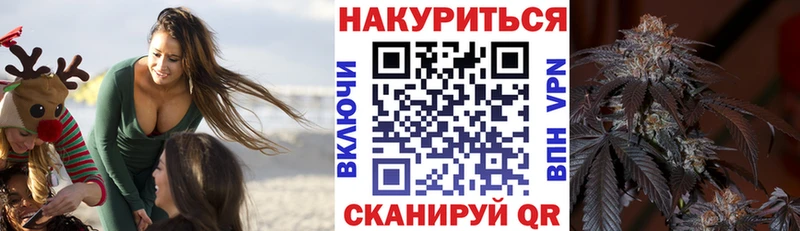 продажа наркотиков  Новохопёрск  Бошки марихуана гибрид 